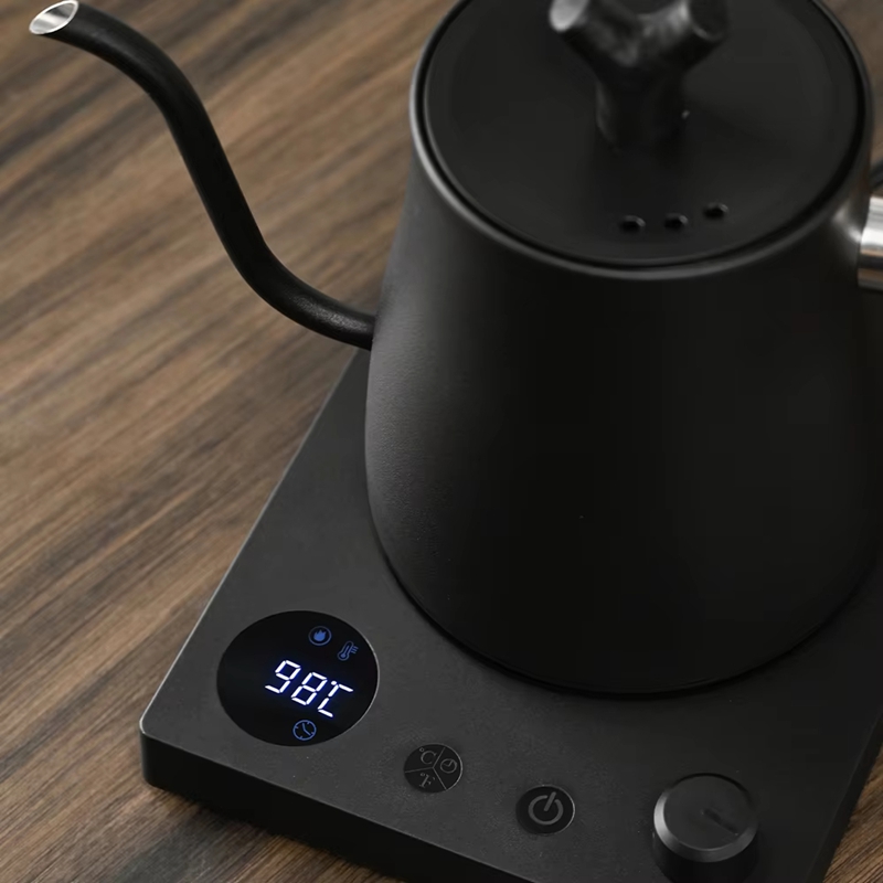 Electric Kettle Temperature Control - 1000ml Schwanenhals-Wasserkocher aus Edelstahl mit Variabler