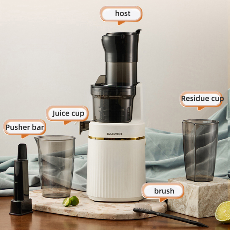Electric Slow Juicer Cold Press - Tragbarer Mixer, elektrischer langsamer Entsafter –