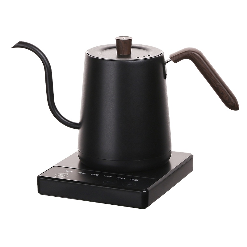 Electric Kettle Temperature Control - Edelstahl-Wasserkocher mit Schwanenhals und Temperaturregelung für