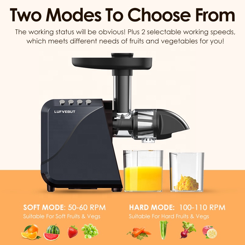Kommerzieller Multifunktionale – Electric Slow Juicer Cold Press Bewertung und Preis