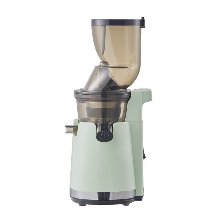 Elektrischer Slow Juicer Mixer – Electric Slow Juicer Cold Press Bewertung und Preis