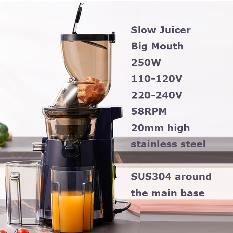 Elektrischer Slow Juicer Mixer – Electric Slow Juicer Cold Press Bewertung und Preis