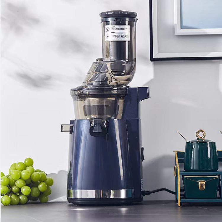 Elektrischer Slow Juicer Mixer – Electric Slow Juicer Cold Press Bewertung und Preis