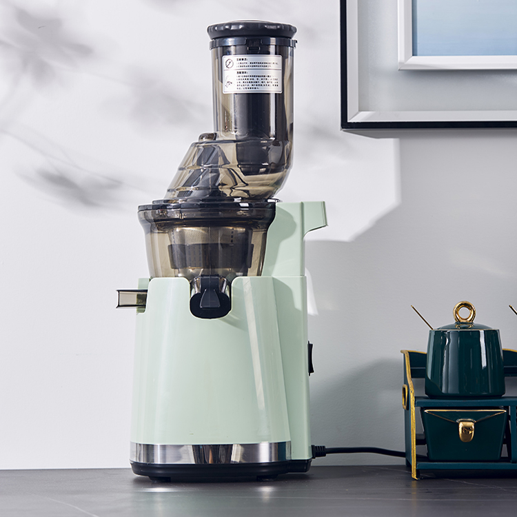 Elektrischer Slow Juicer Mixer – Electric Slow Juicer Cold Press Bewertung und Preis