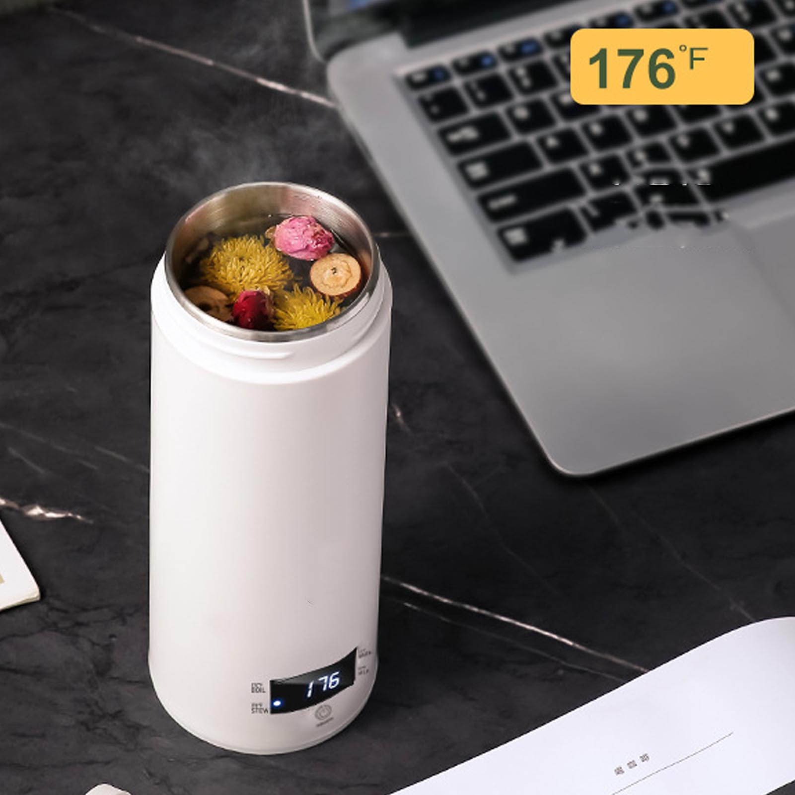 Tragbarer Mini-Wasserkocher, 4 – Electric Kettle Temperature Control Bewertung und Preis