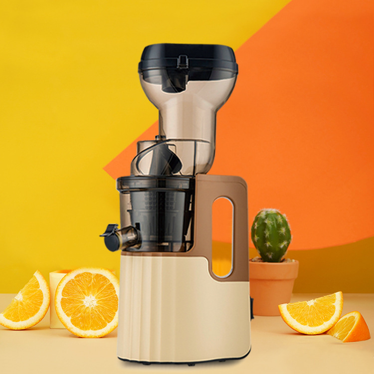 Kommerzieller langsamer Entsaf – Electric Slow Juicer Cold Press Bewertung und Preis